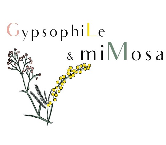 GypsophiLe et miMosa